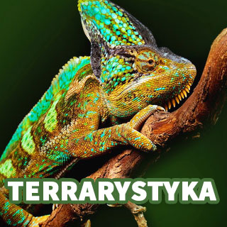 Terrarystyka
